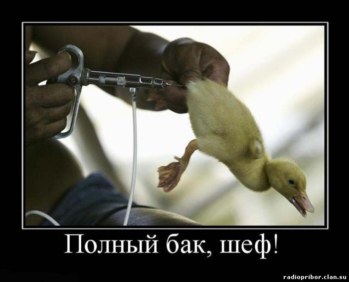 демотиватор