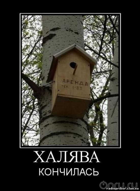 ржачный демотиватор