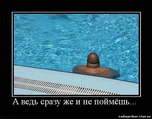смешные