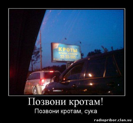 смешные демотиваторы