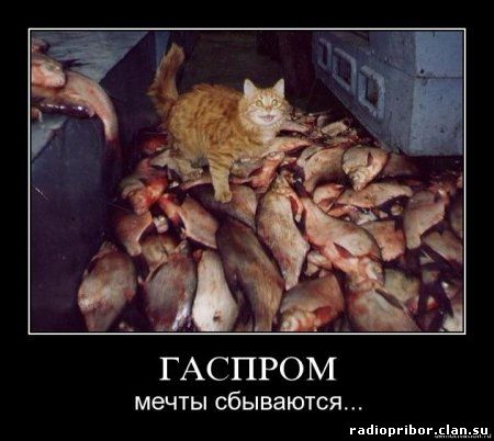 смешные демотиваторы